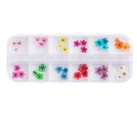 Nail Art Dry Flower 12 Grid Boxed Colorful Daisy Gypsophila Real Flower Nail Jewelry (Option: FZ)